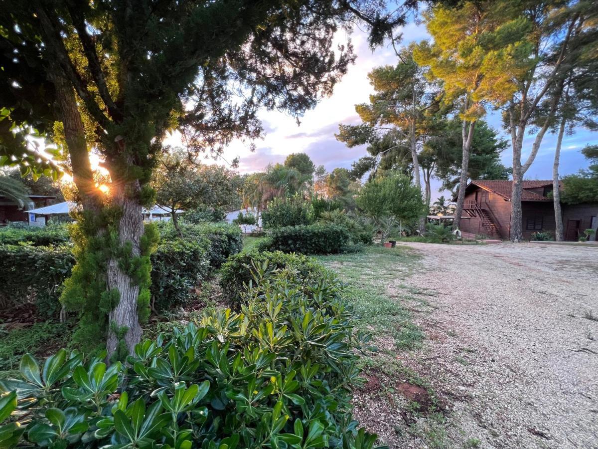 Villa Rosemary Marsala Exterior photo